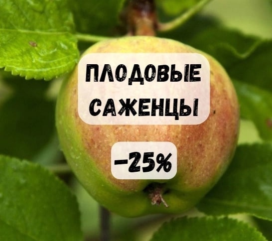 1Акция на плодовые саженцы -25 %!