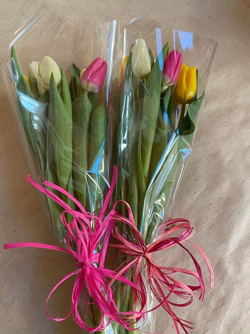 1Тюльпаны к 8 марта  ❗ 