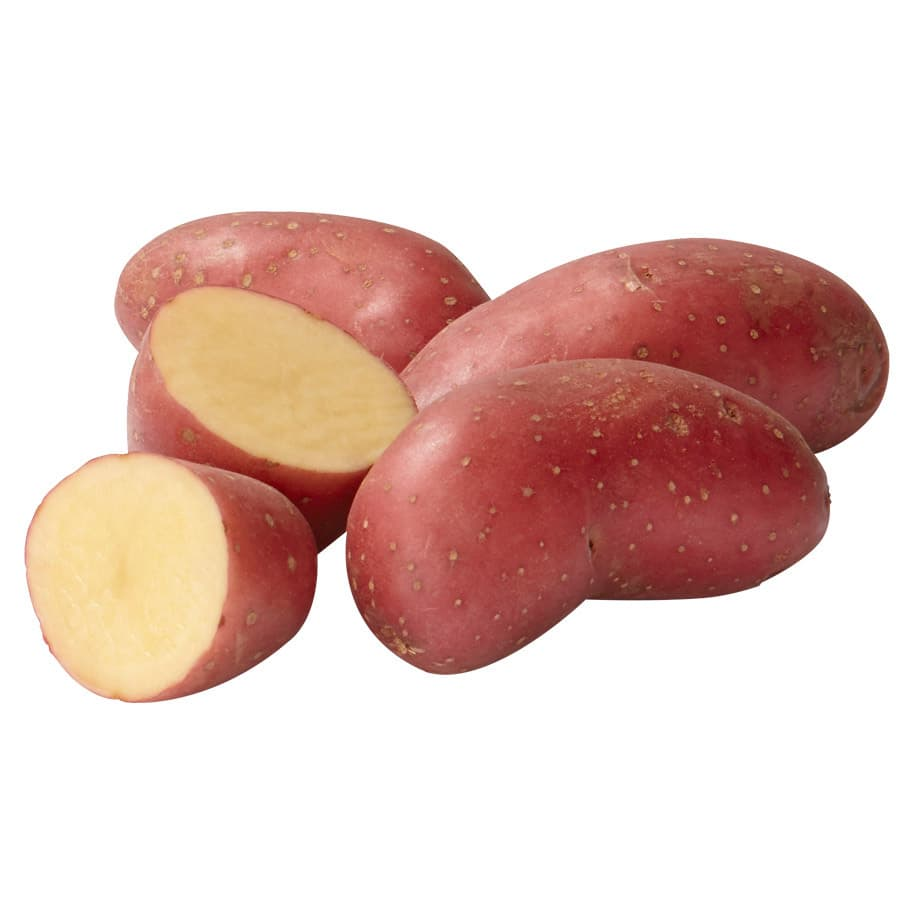 ред скарлет.png ред скарлет.png