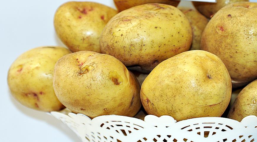 Gusar2.jpg Gusar2.jpg