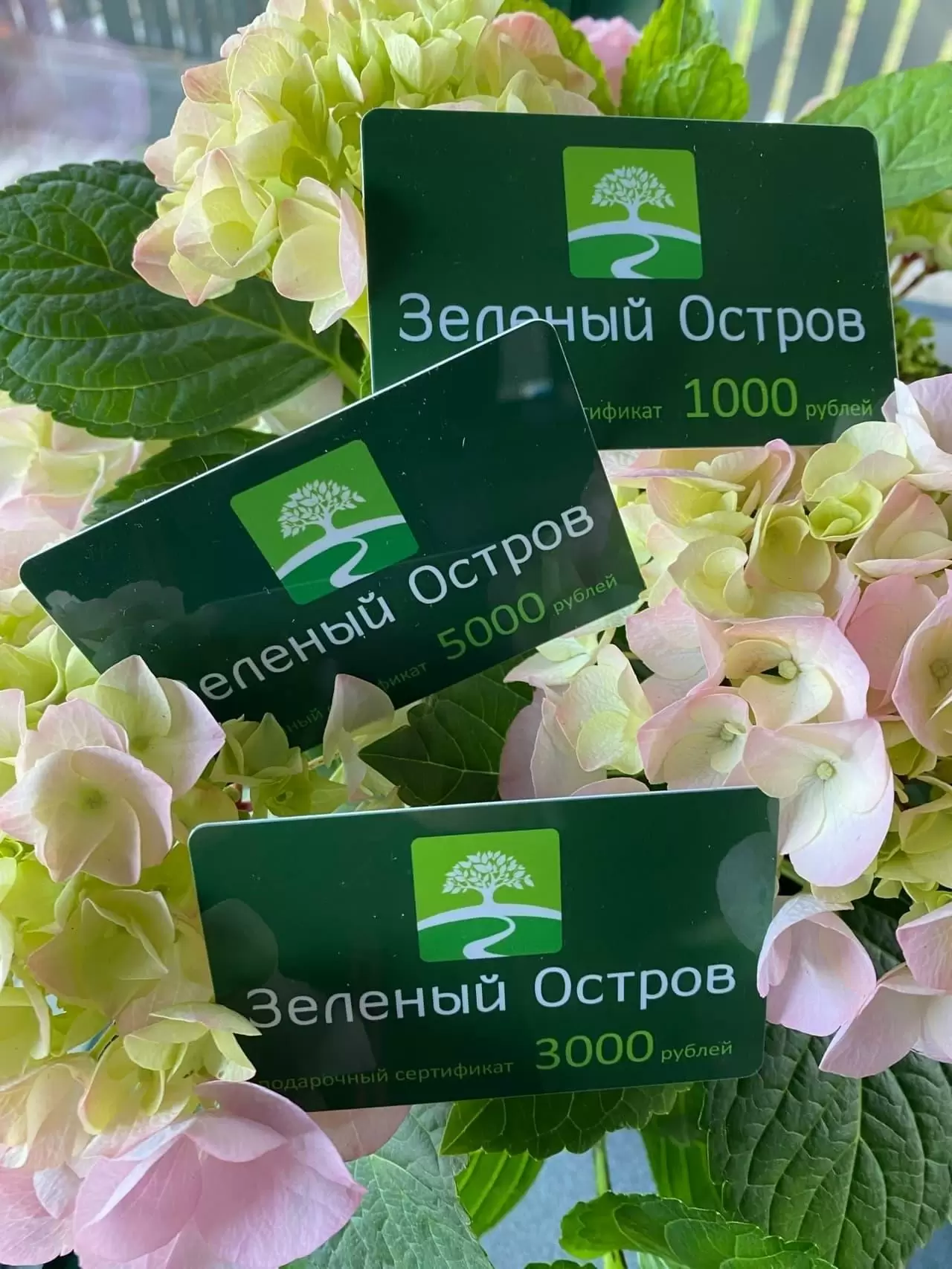 ПОДАРОЧНЫЕ СЕРТИФИКАТЫ!