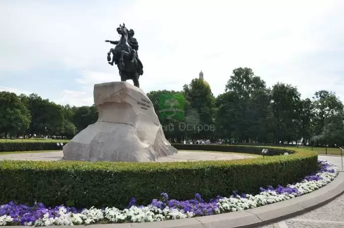 Поставка цветочной рассады для озеленения г. Санкт-Петербург